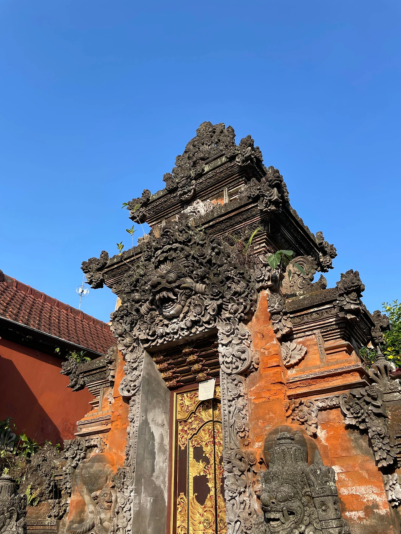 KakaoTalk_Photo_2023-09-30-00-28-50 006.jpeg