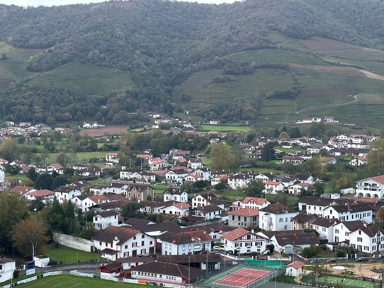 생장 3.jpeg