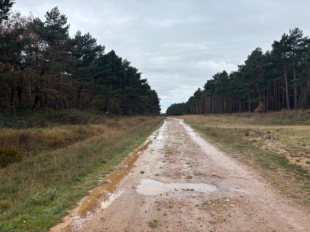 아타푸에르카 2.jpeg