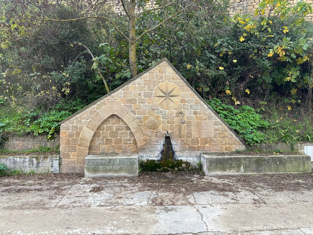 에스테야 4.jpeg