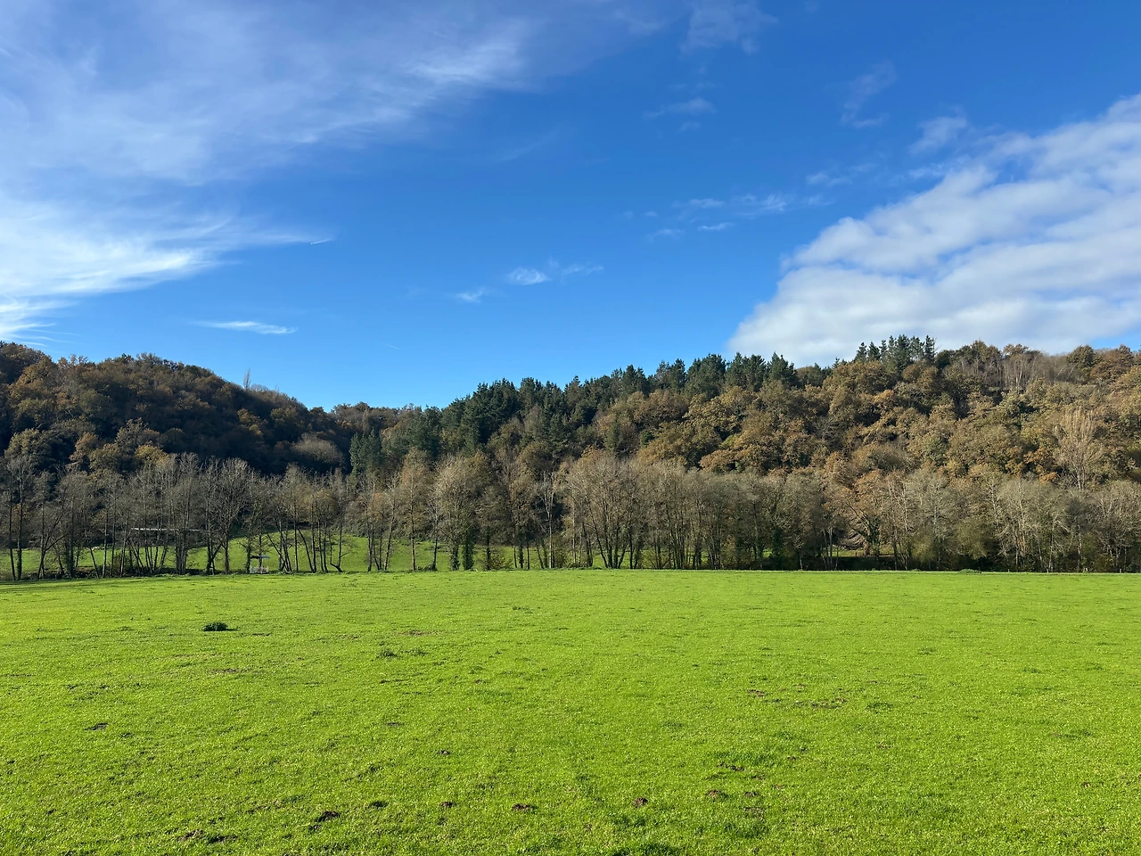 사리아 3.jpeg