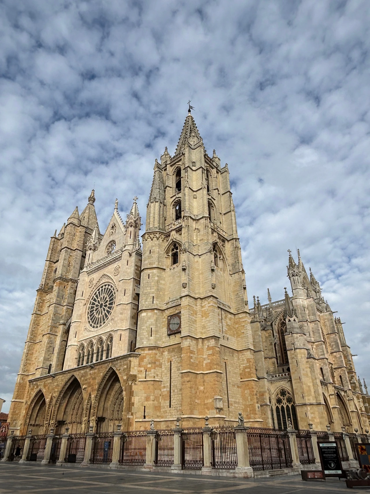 레온 4.jpeg