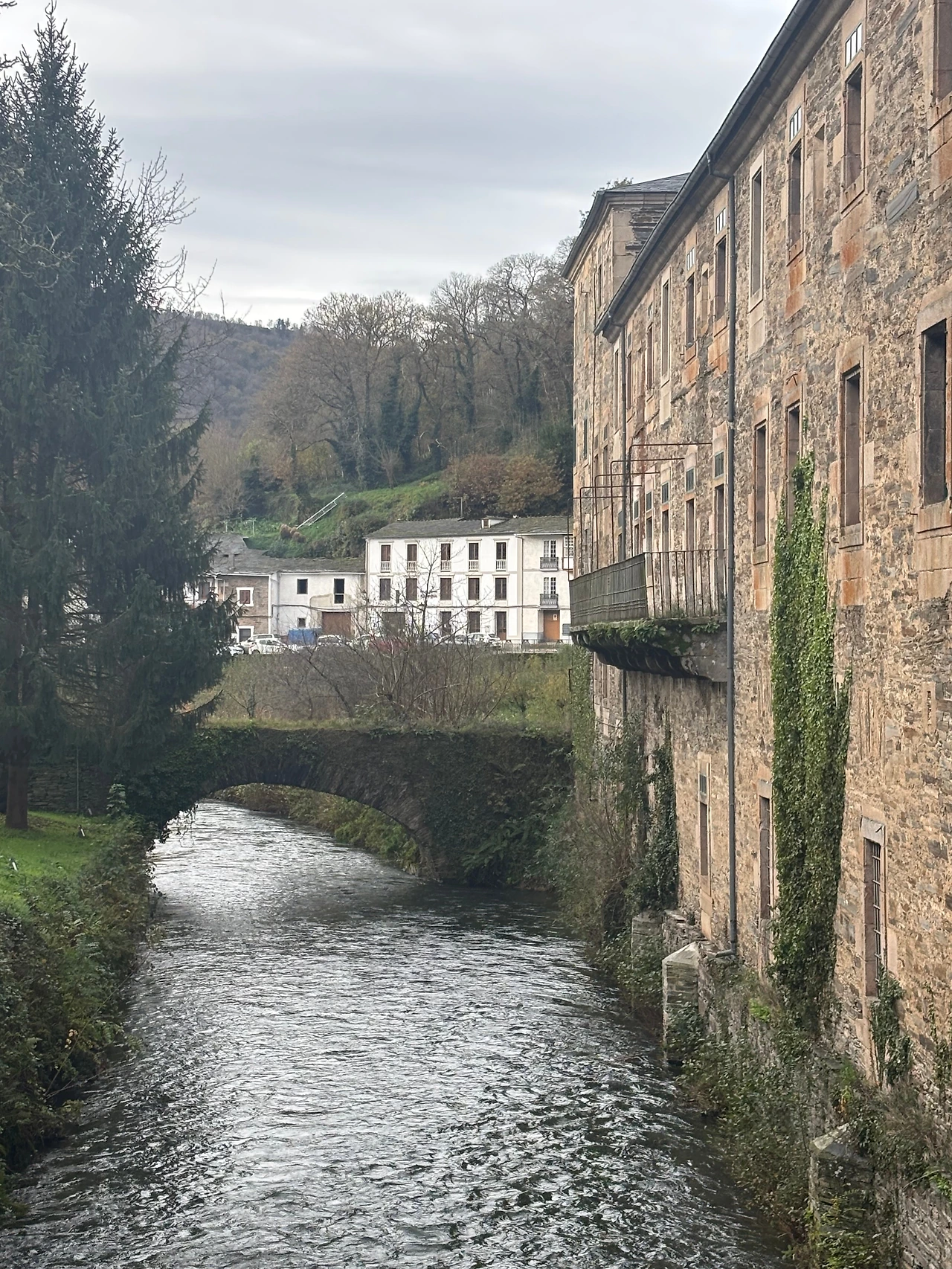 사리아 1.jpeg