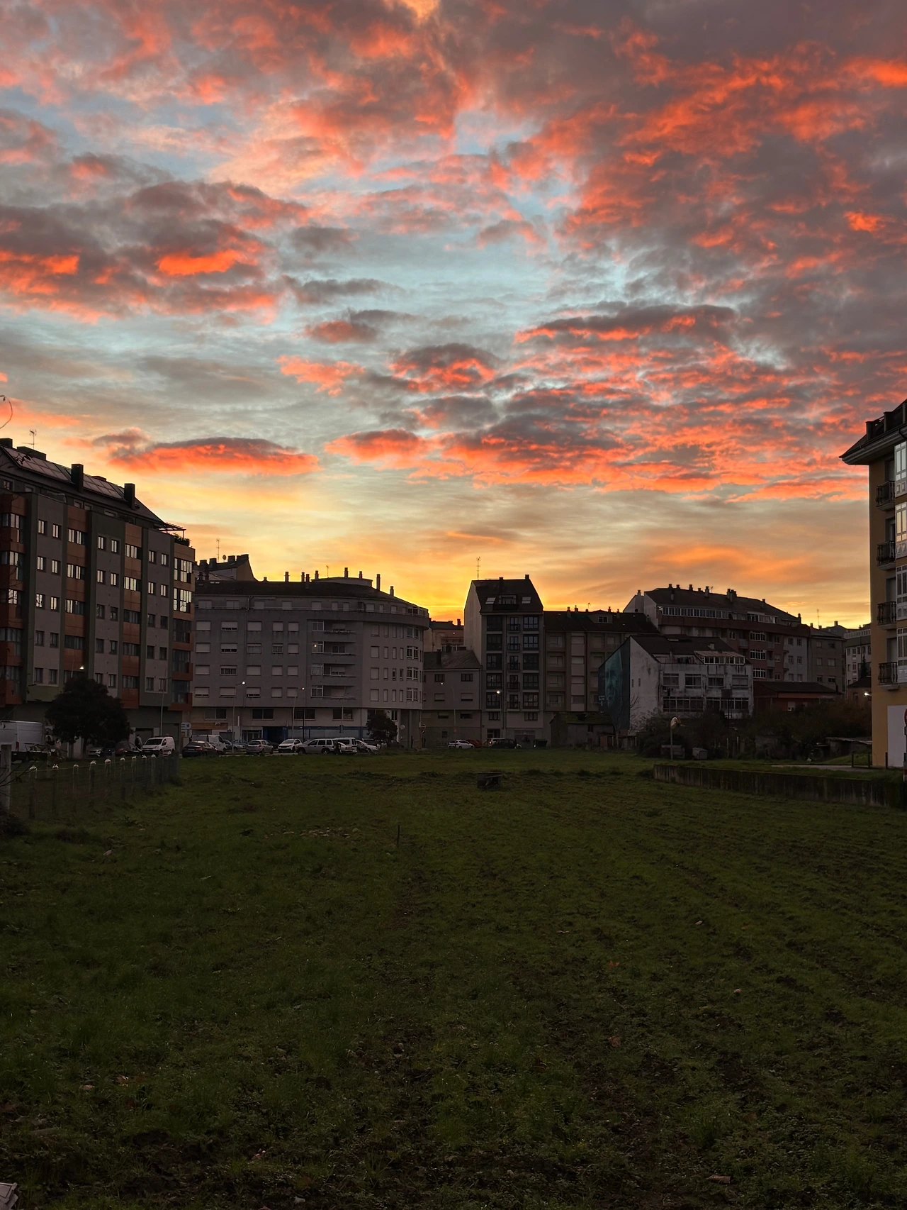 포토마린 1.jpeg