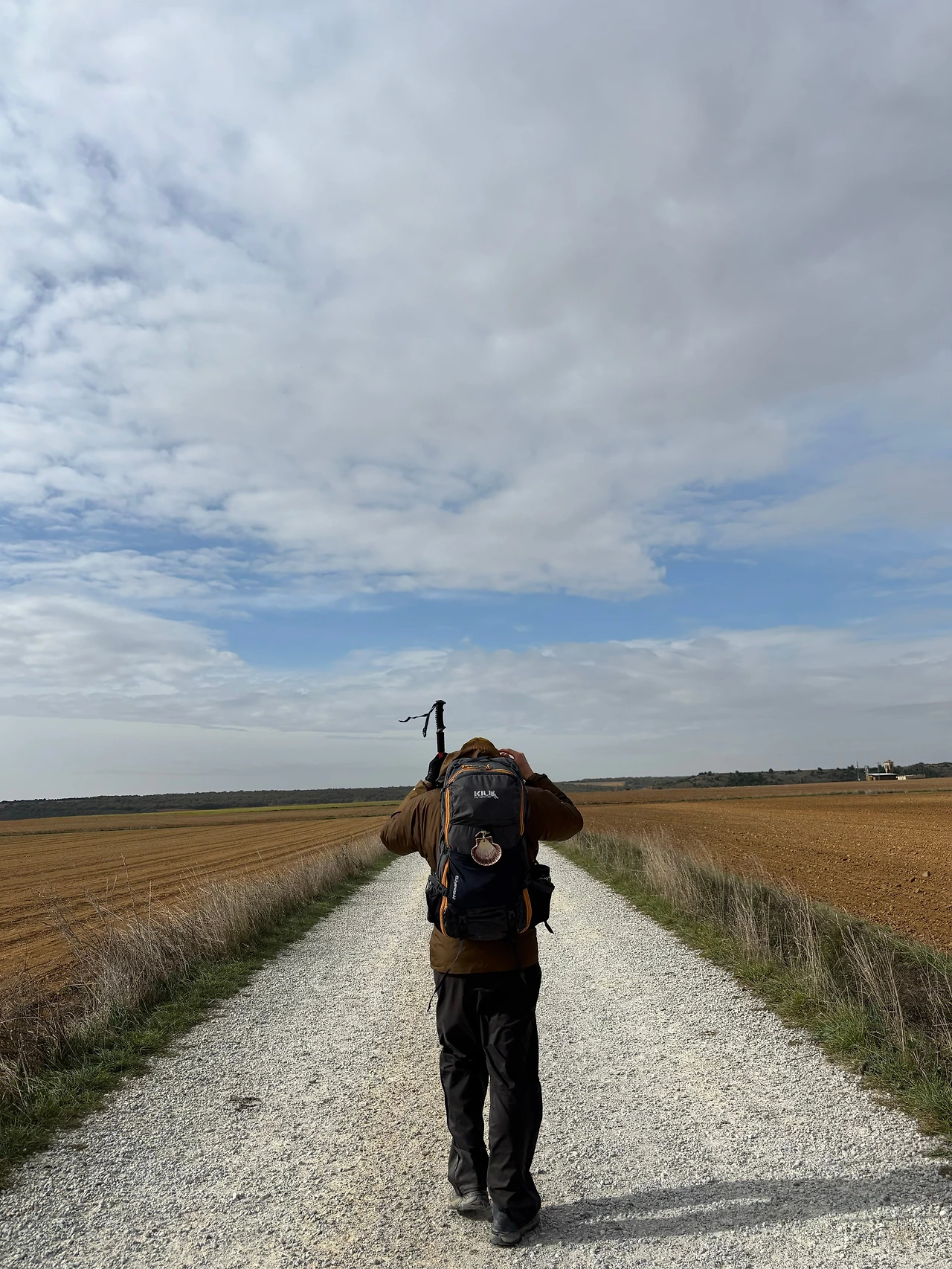 테라딜로스 데 로스 템플라리오스 4.jpeg