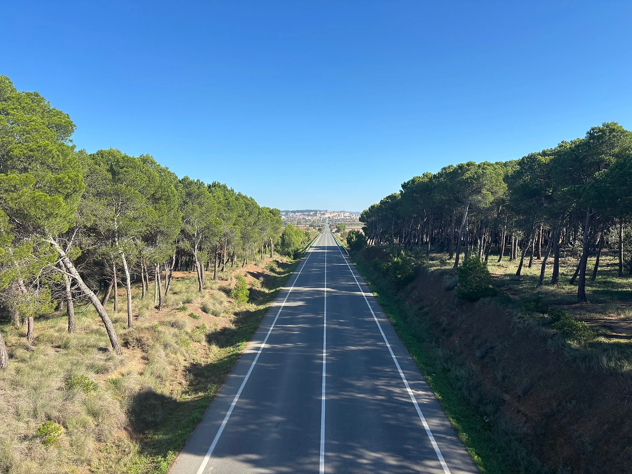 로그로뇨 3.jpeg