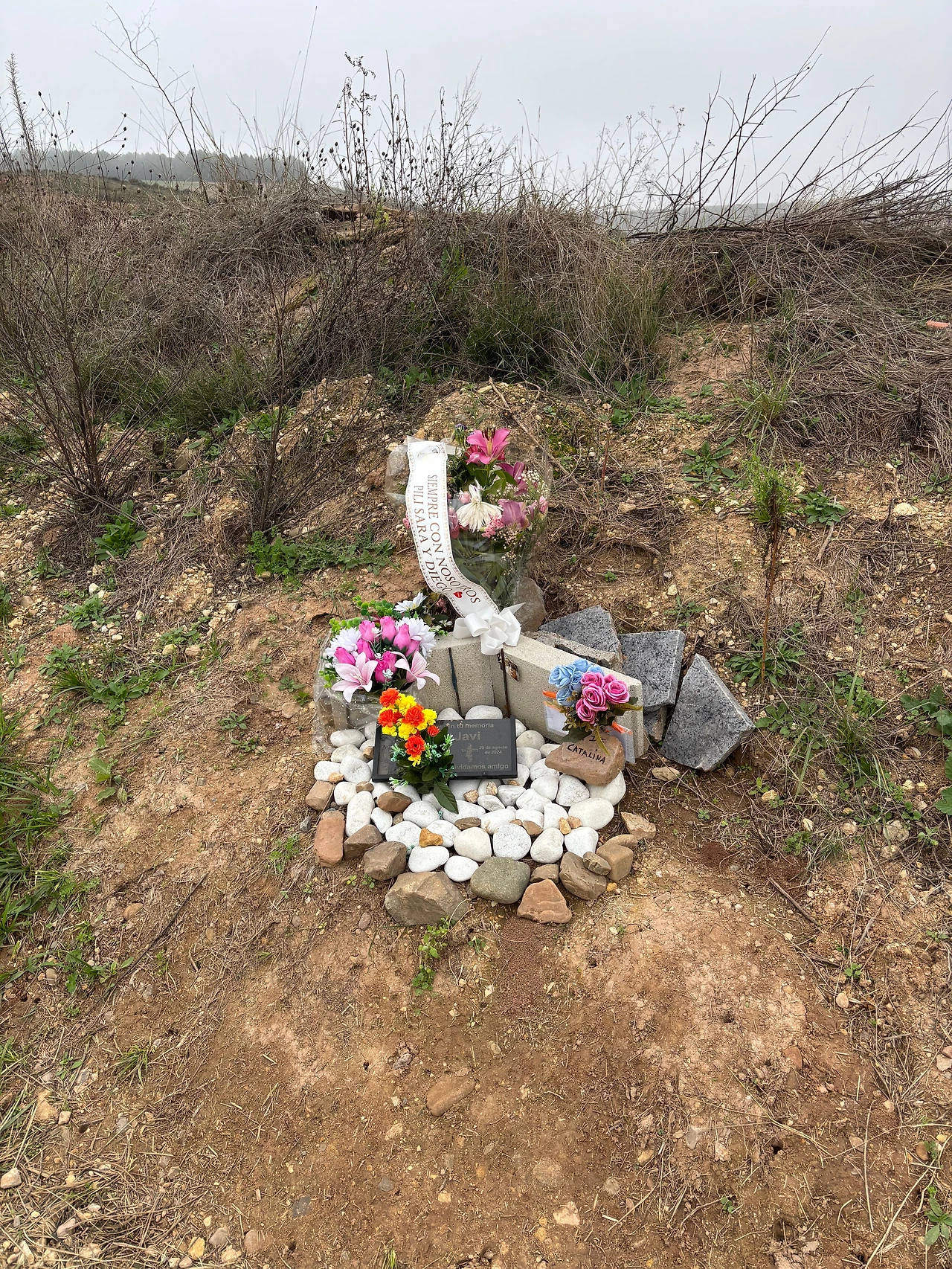 산토도밍고 데 라 칼사다 2.jpeg