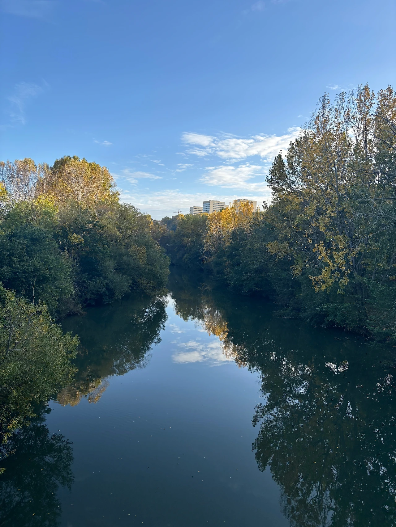 팜플로나 3.jpeg