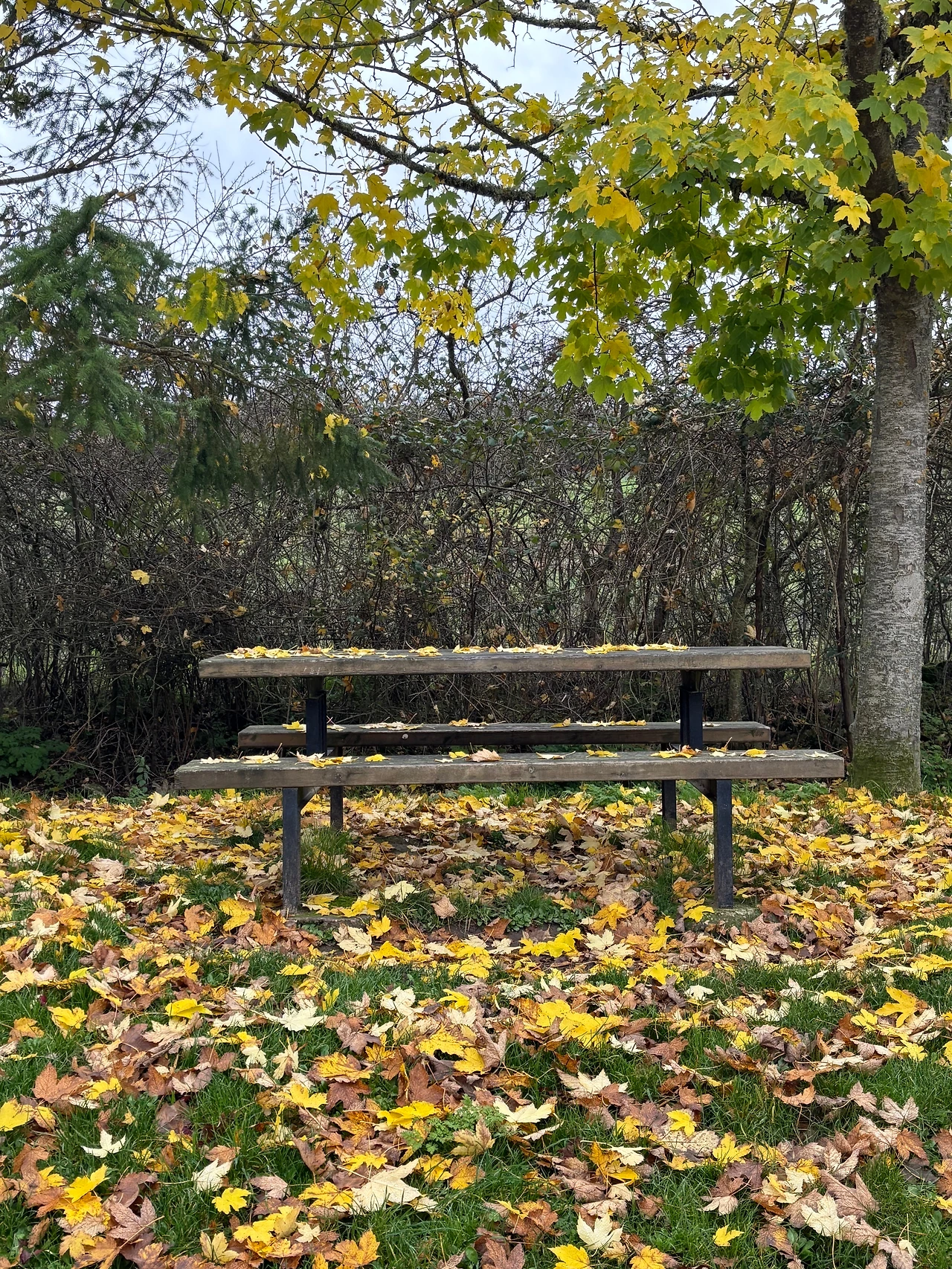 아타푸에르카 3.jpeg