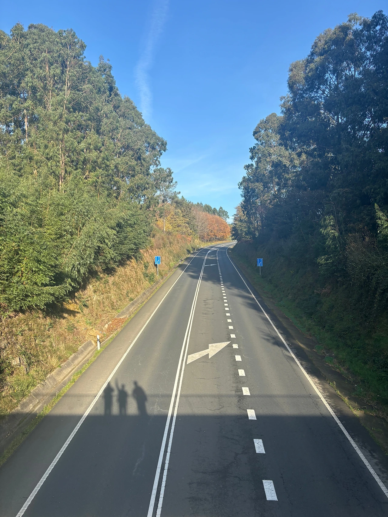 아르주아 3.jpeg