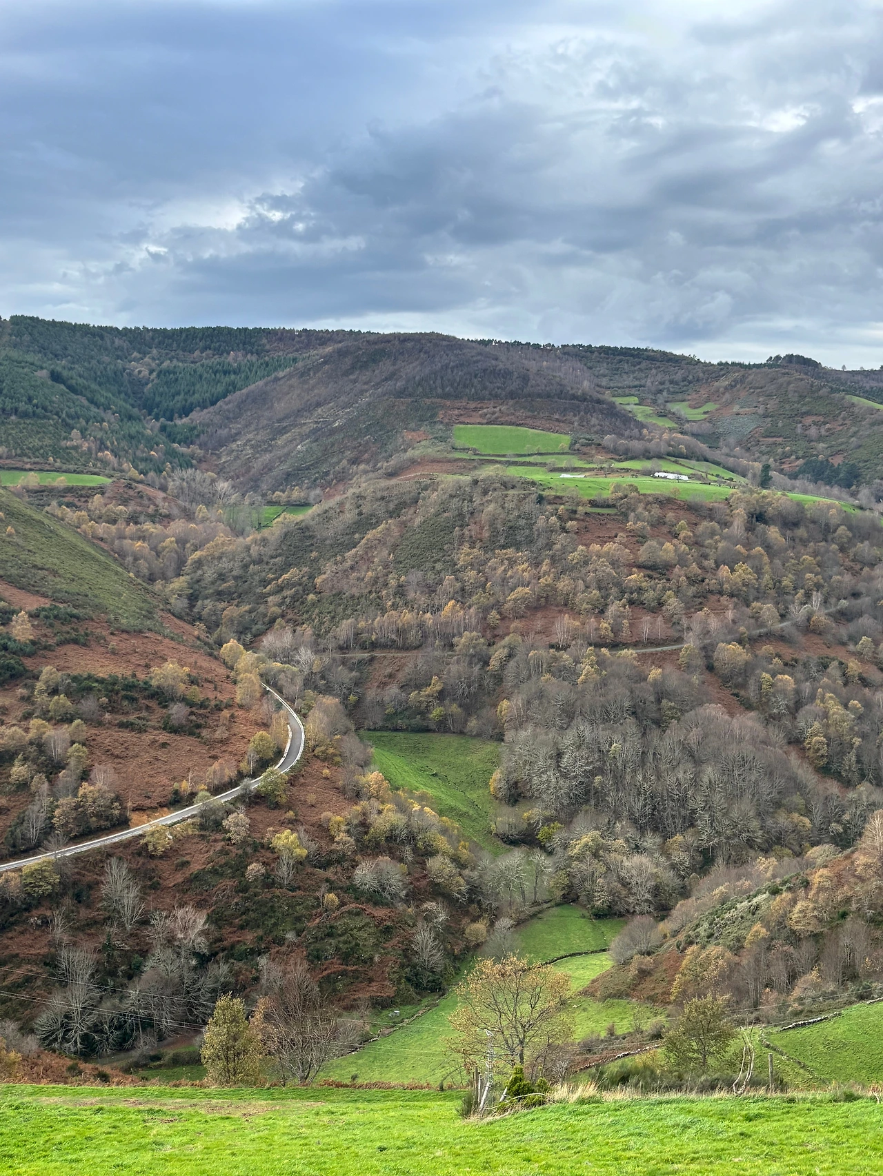 오 세브레이로 2.jpeg