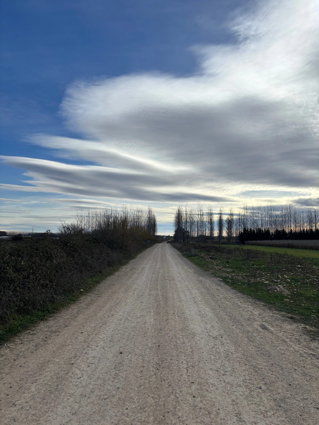 아스토르가 2.jpeg