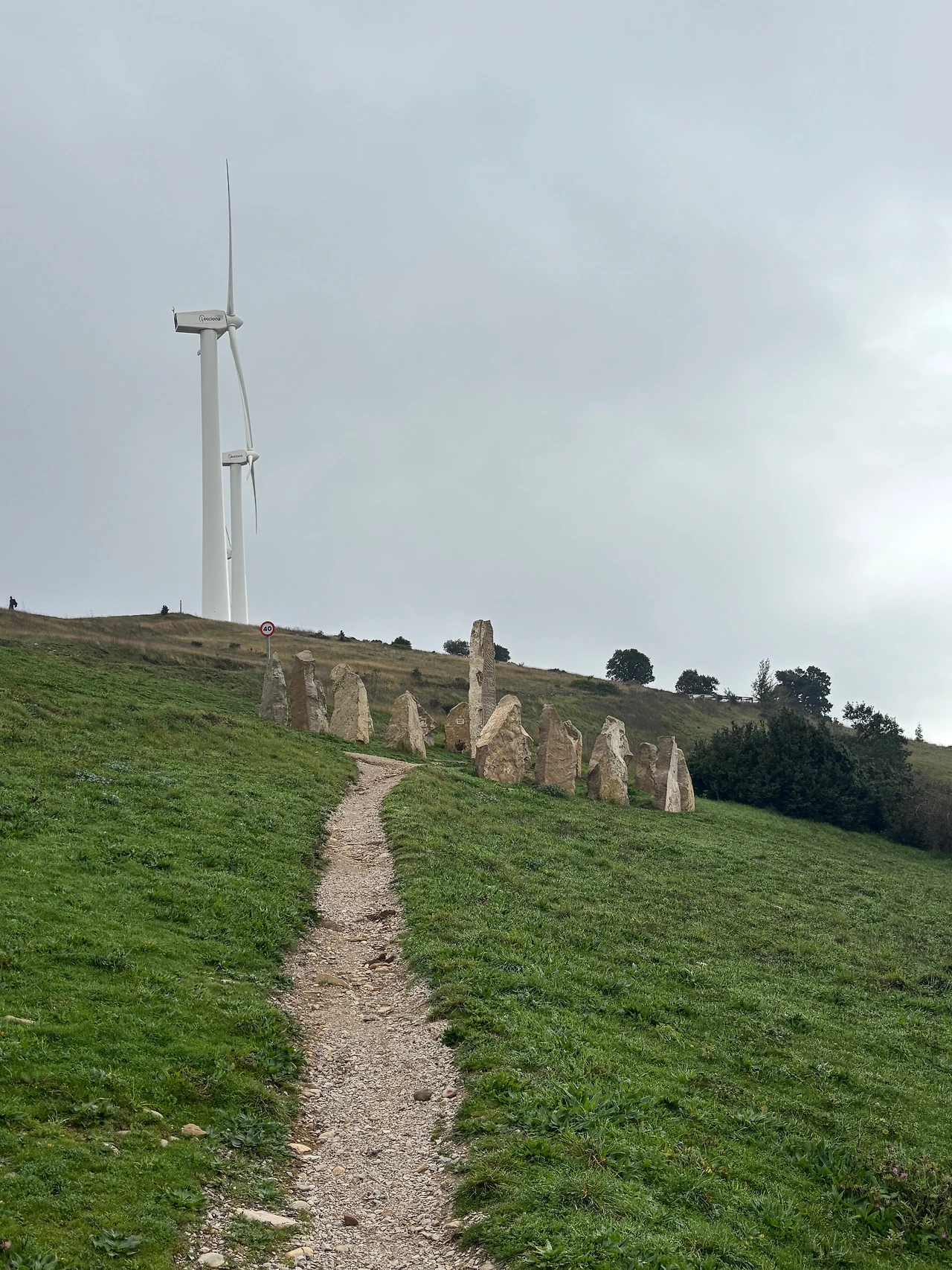 푸엔테 라 레이나 3.jpeg