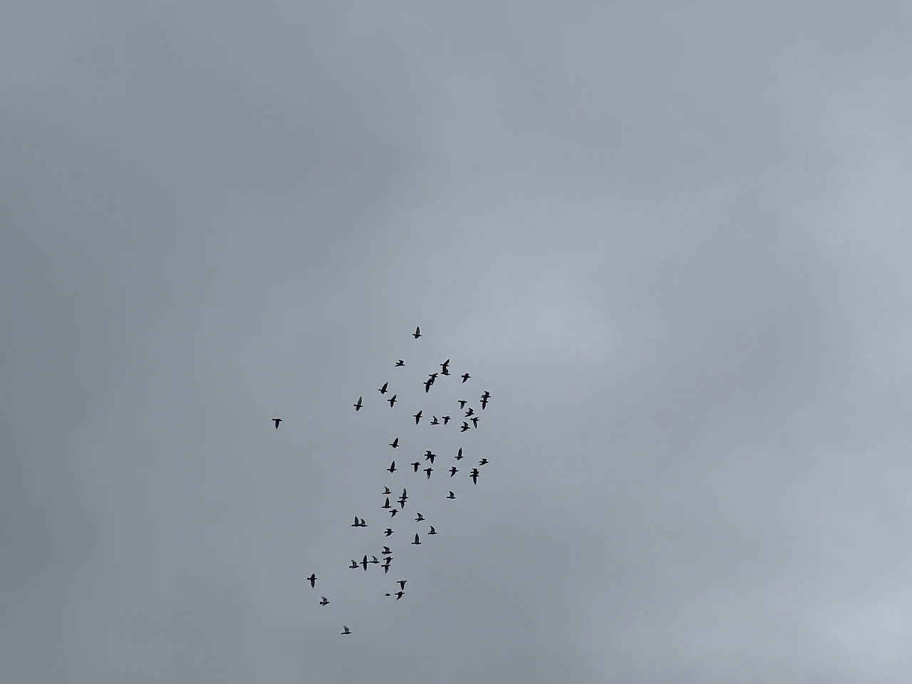 에스피날 3.jpeg