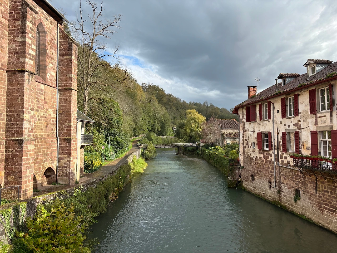 생장 2.jpeg