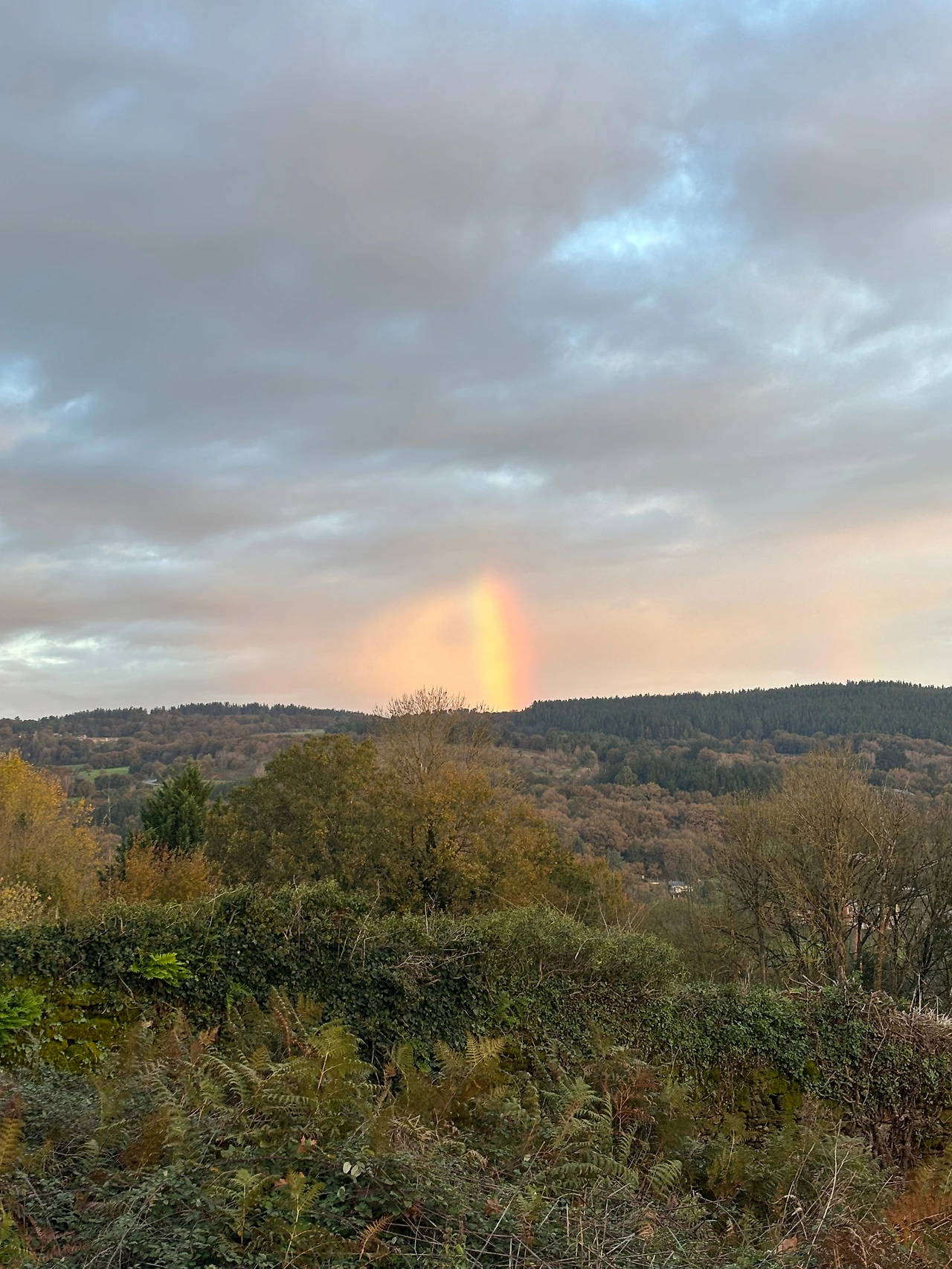 포토마린 3.jpeg