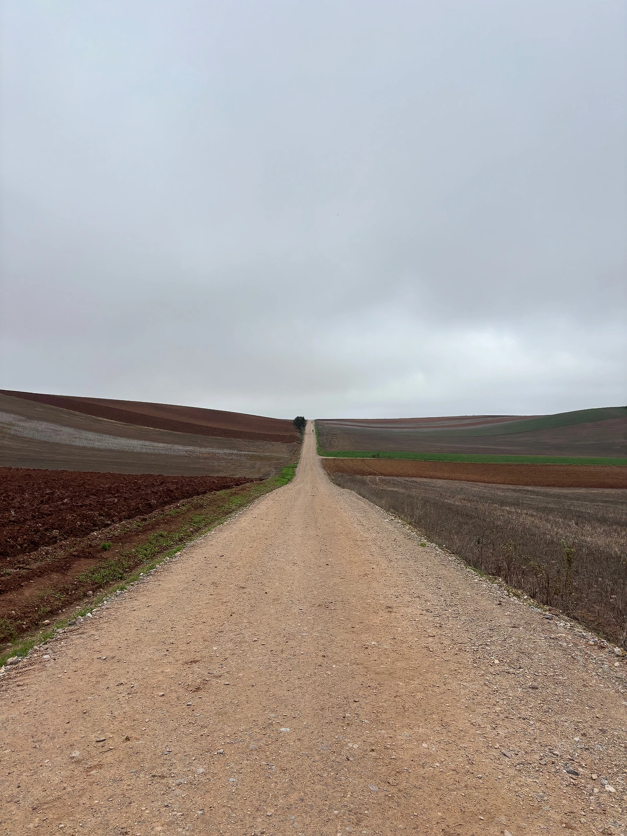 산토도밍고 데 라 칼사다 4.jpeg