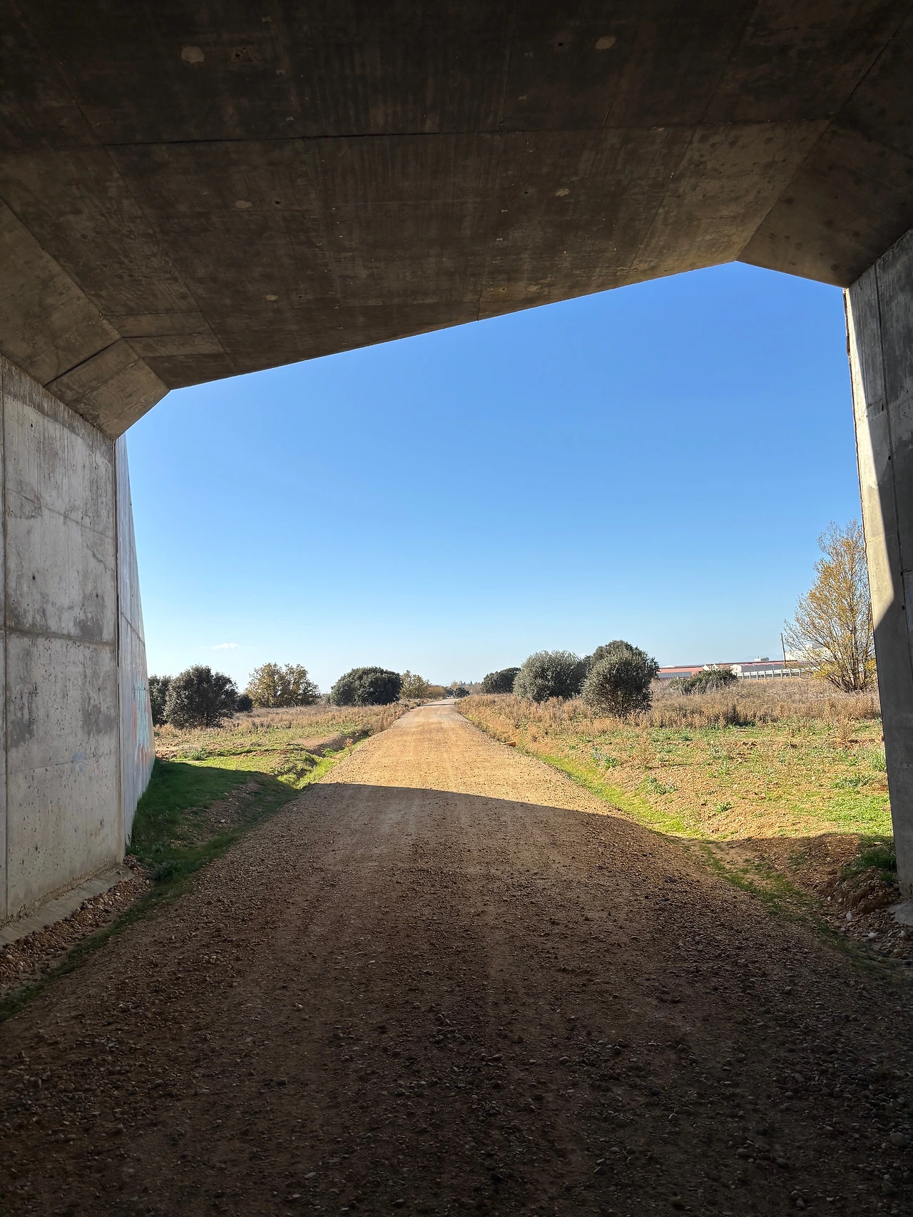 산 마틴 델 카미노 4.jpeg