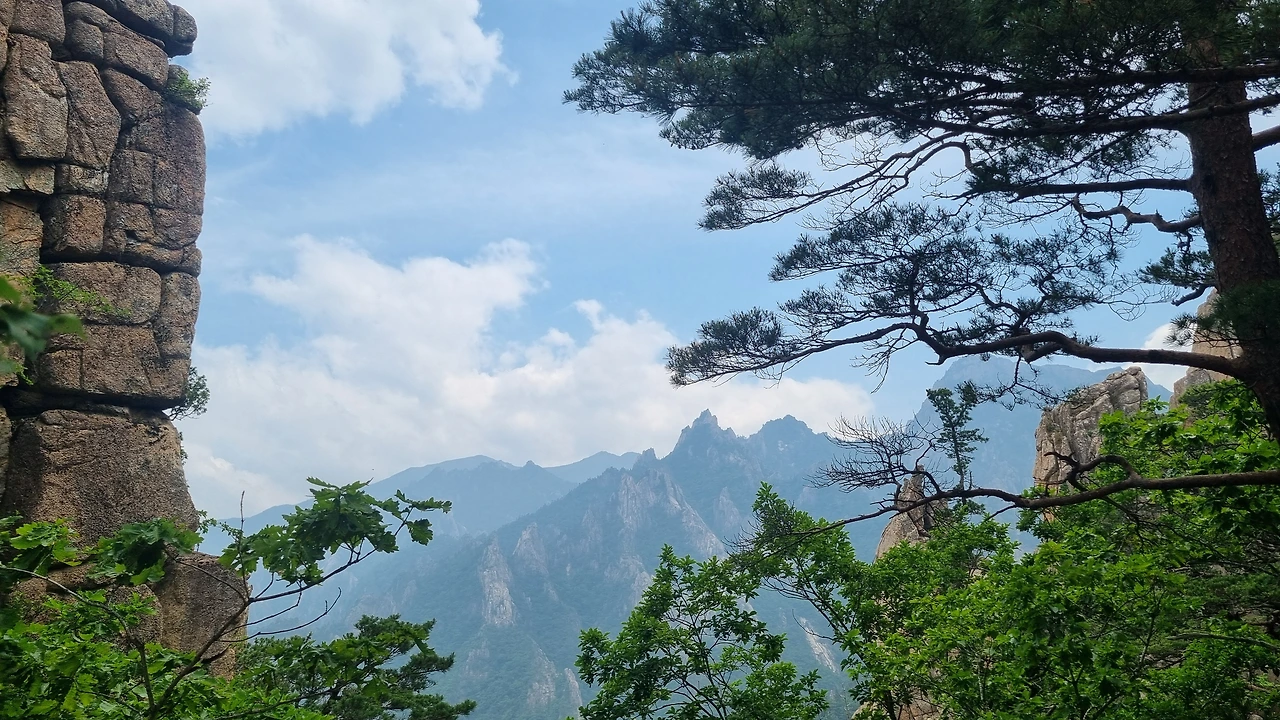 KakaoTalk_Photo_2025-06-18-17-34-54 002.jpeg