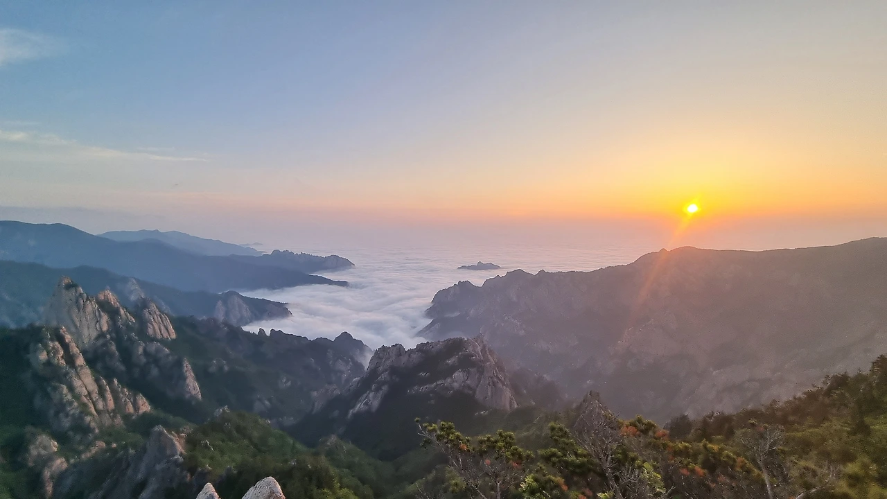 KakaoTalk_Photo_2025-06-18-15-37-50 004.jpeg