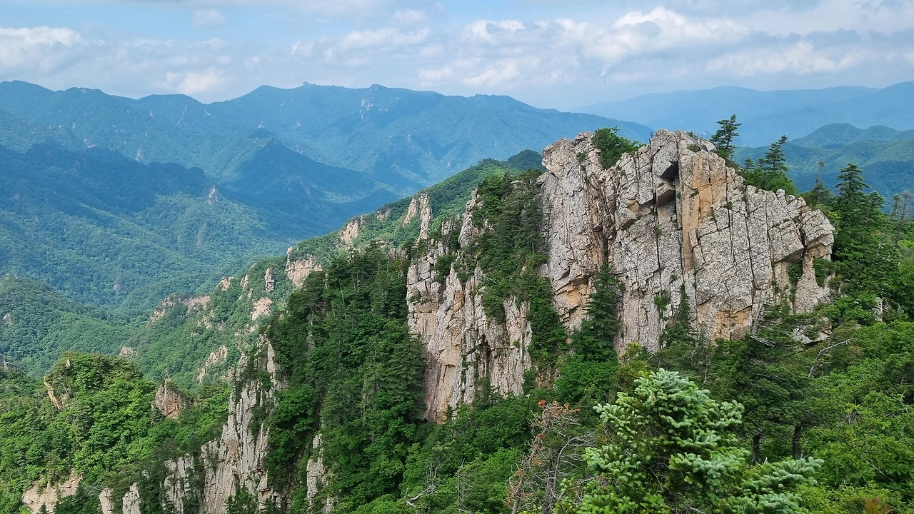 KakaoTalk_Photo_2025-06-18-17-24-59 009.jpeg