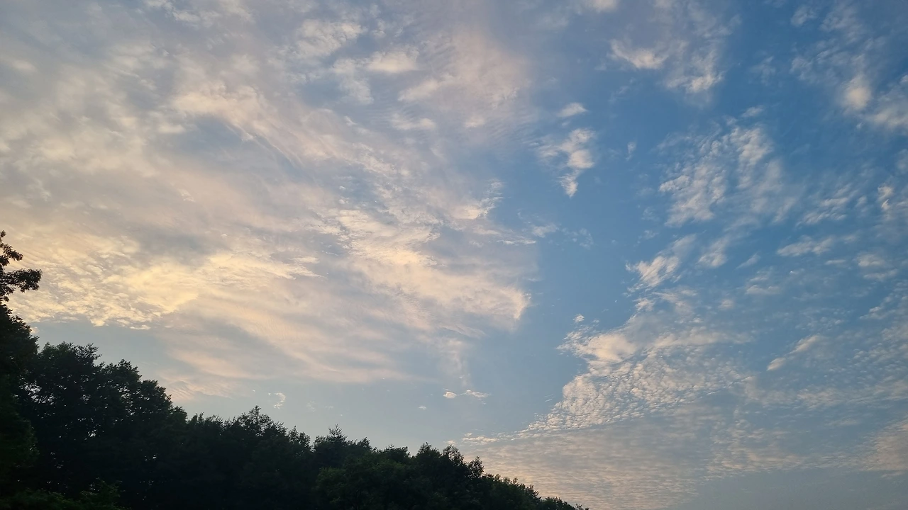 KakaoTalk_Photo_2025-06-30-15-58-04 008.jpeg