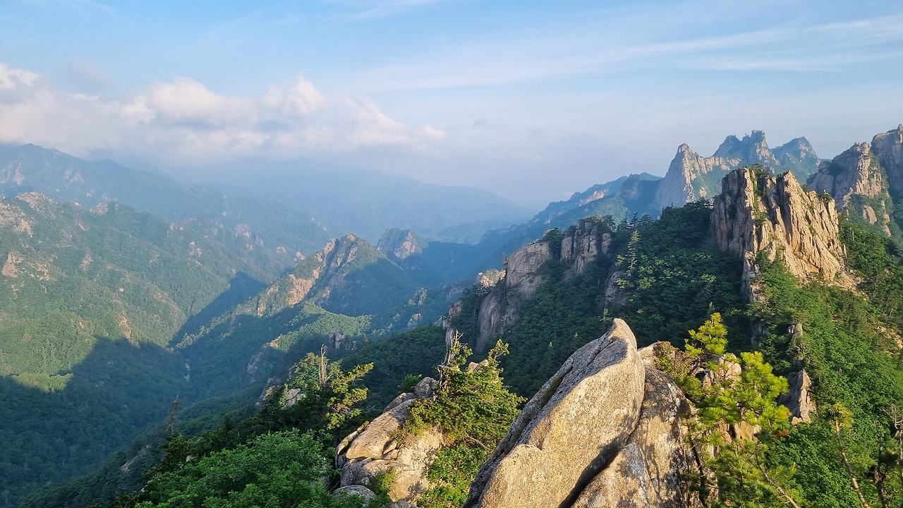 KakaoTalk_Photo_2025-06-18-17-24-57 003.jpeg