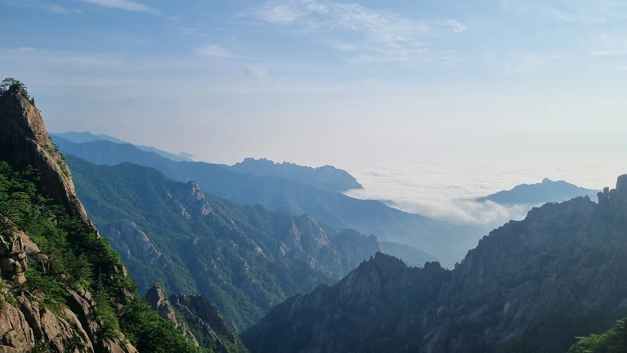 KakaoTalk_Photo_2025-06-18-17-24-58 006.jpeg