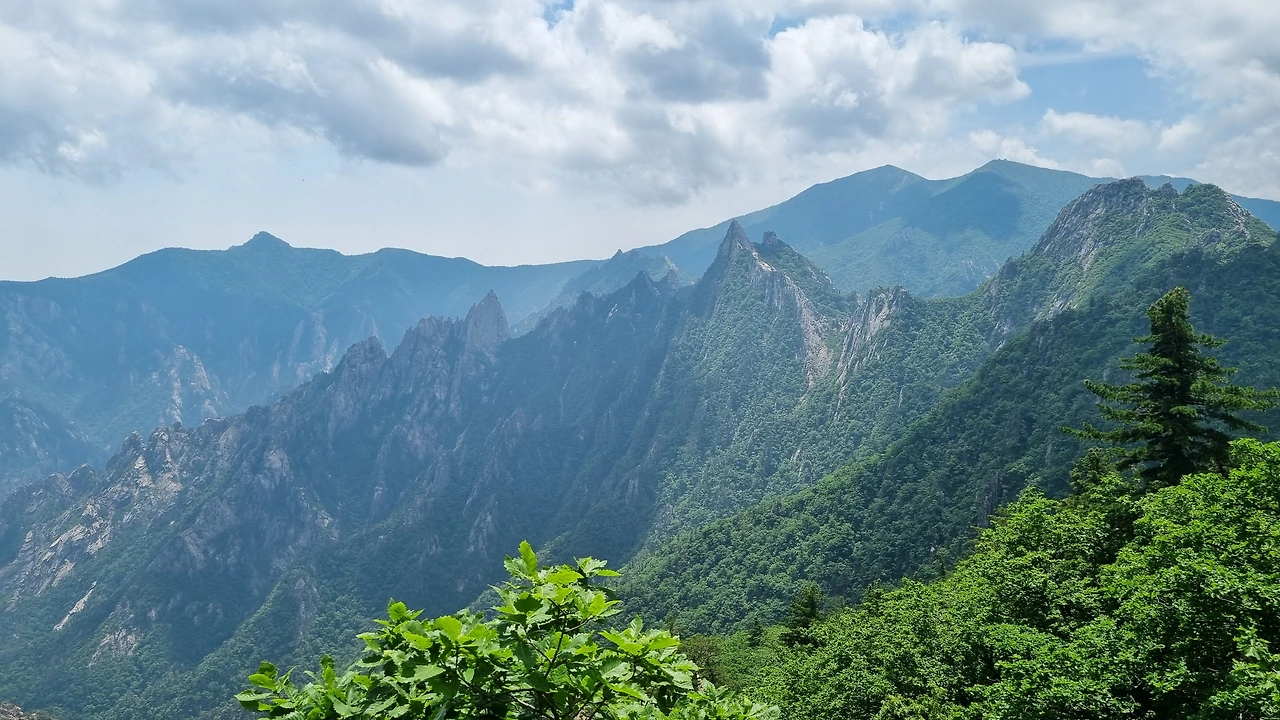 KakaoTalk_Photo_2025-06-18-17-34-54 001.jpeg