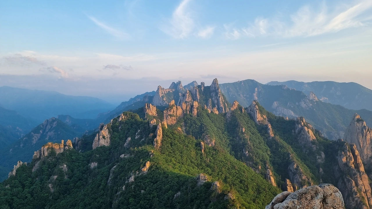 KakaoTalk_Photo_2025-06-18-15-37-50 005.jpeg