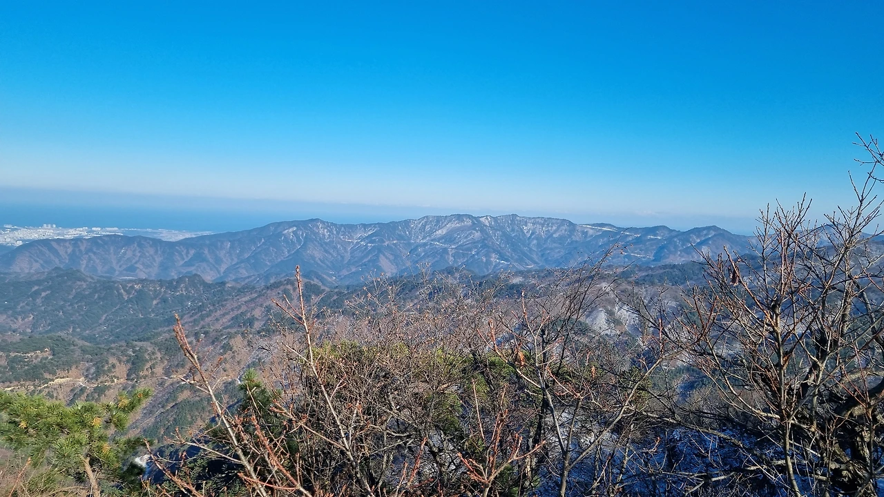 KakaoTalk_Photo_2024-12-19-15-33-21 001.jpeg