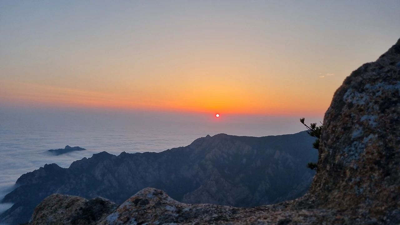 KakaoTalk_Photo_2025-06-18-15-37-50 003.jpeg