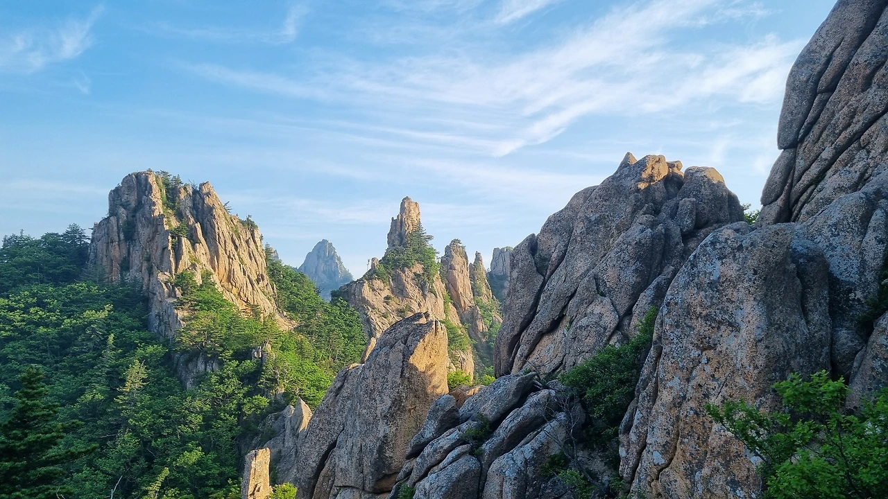 KakaoTalk_Photo_2025-06-18-17-24-57 004.jpeg