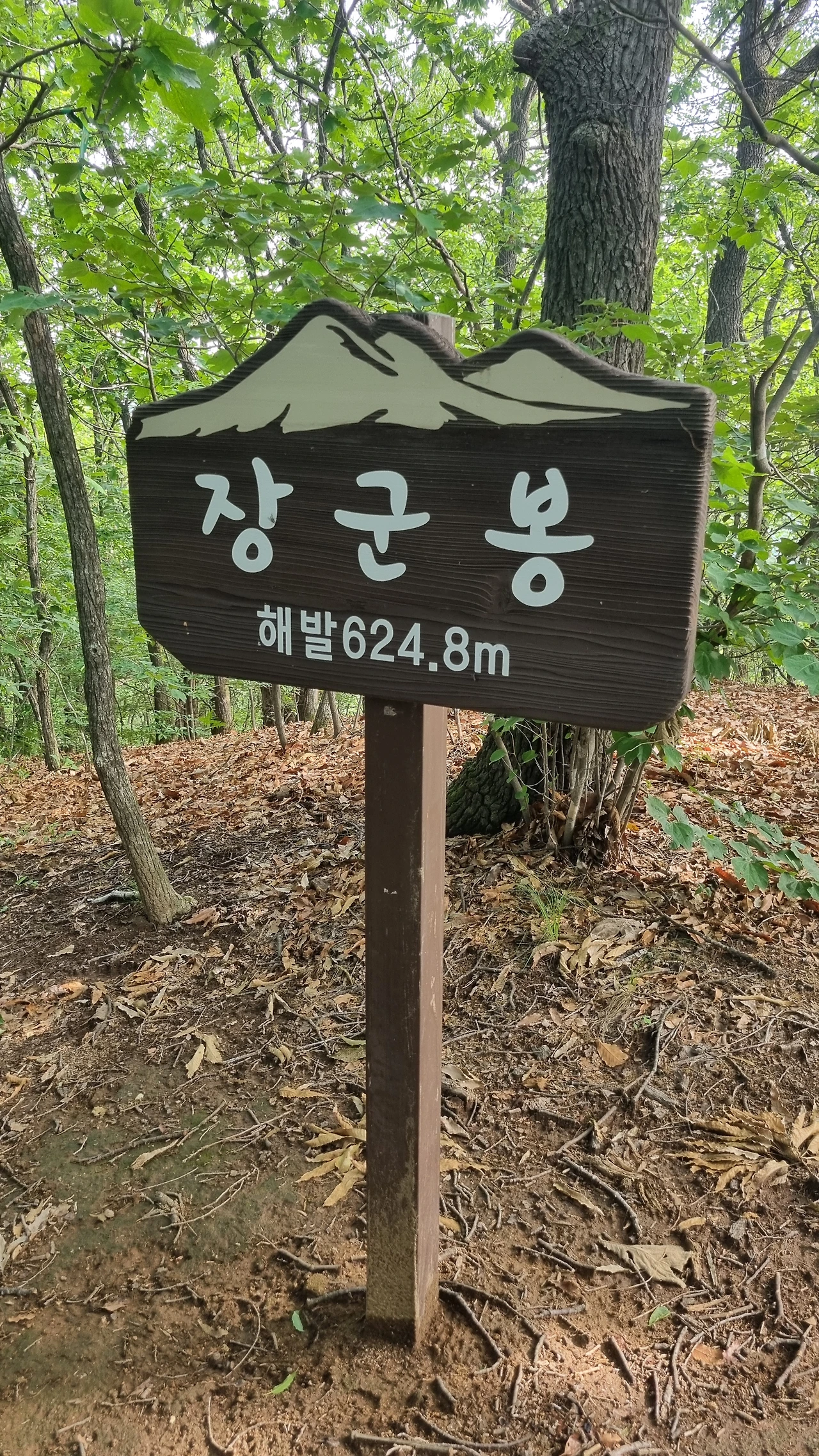 KakaoTalk_Photo_2025-06-30-15-58-04 011.jpeg