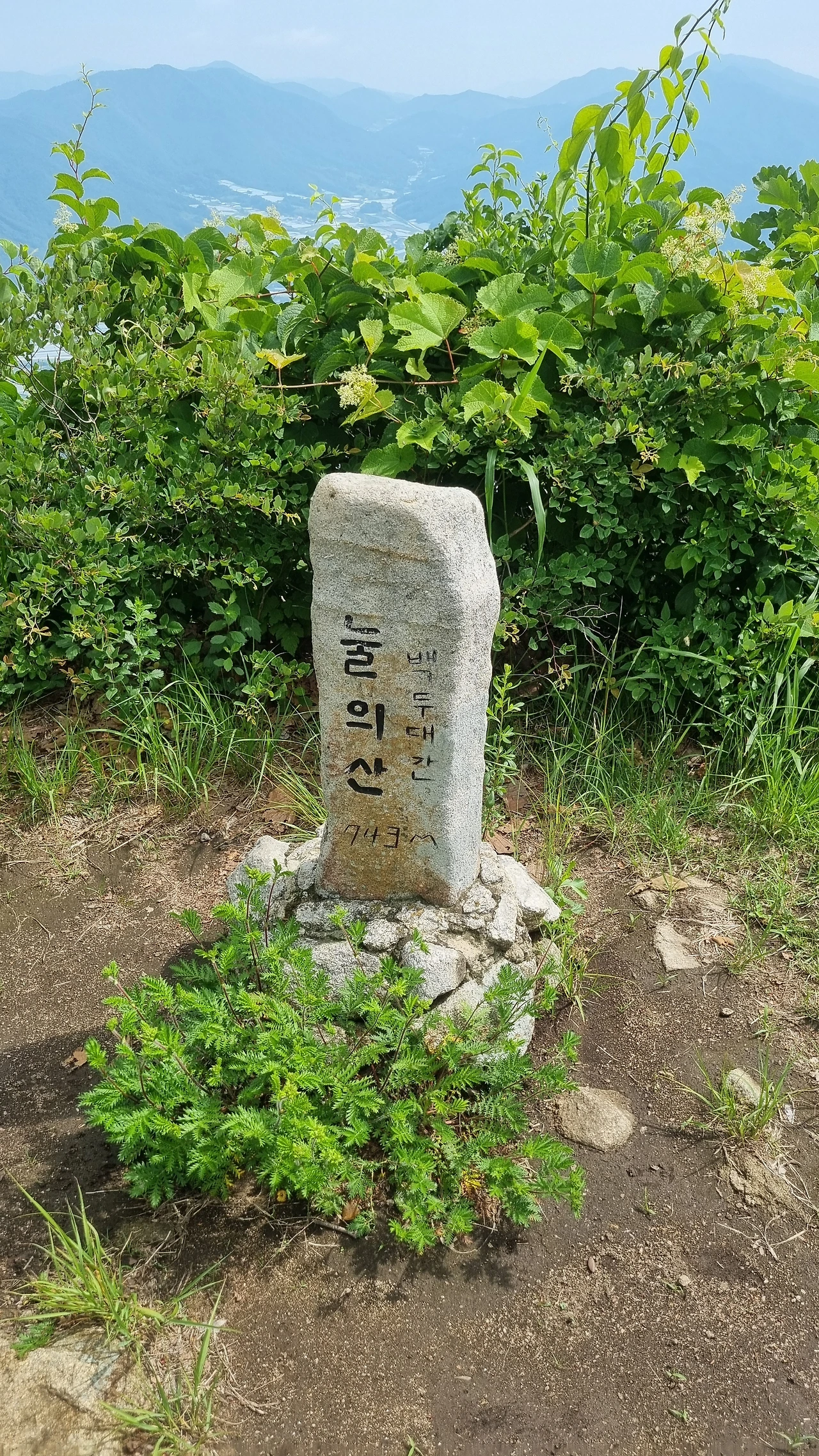 KakaoTalk_Photo_2025-06-30-15-58-02 002.jpeg