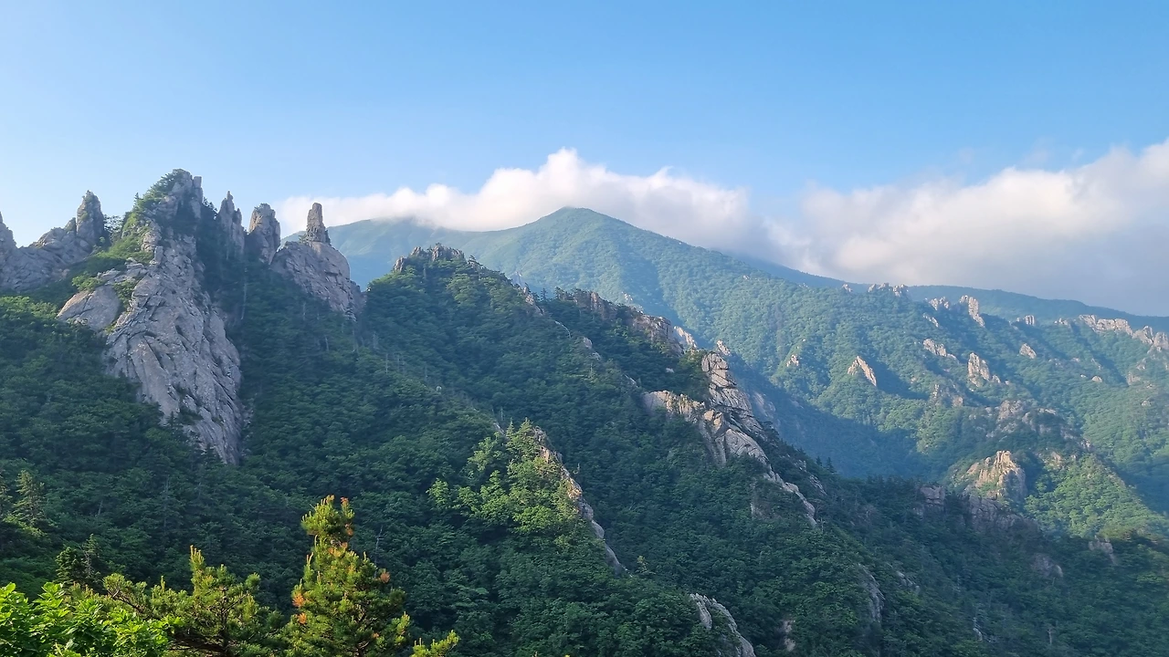 KakaoTalk_Photo_2025-06-18-17-24-58 007.jpeg