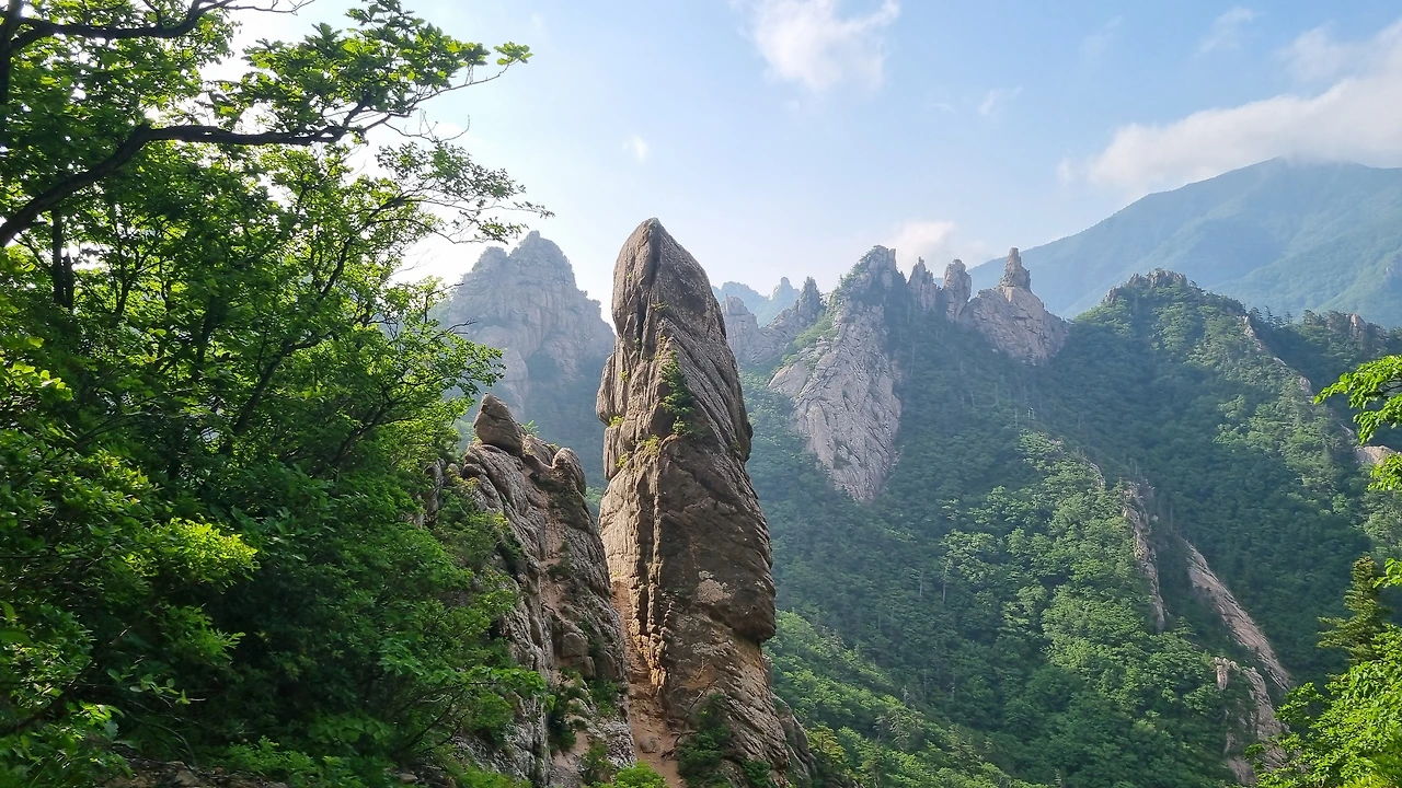 KakaoTalk_Photo_2025-06-18-17-24-58 008.jpeg