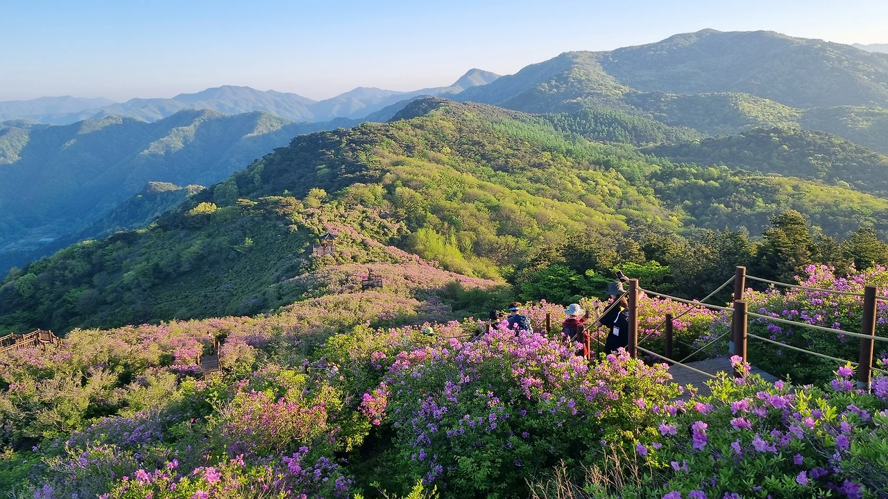 KakaoTalk_Photo_2024-04-30-14-35-39 001.jpeg