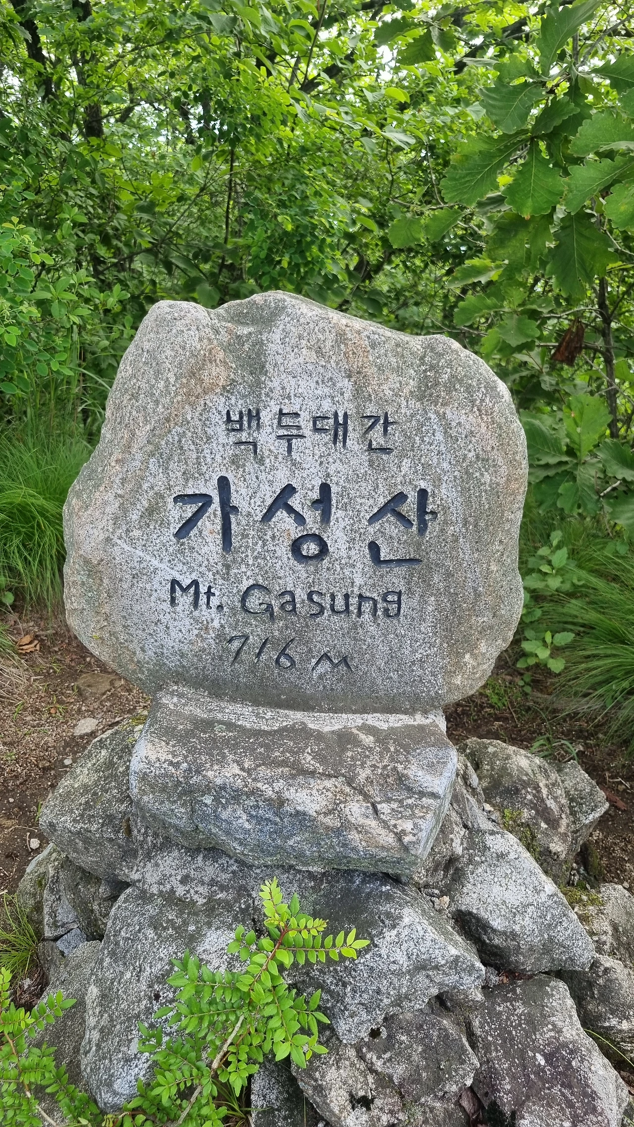 KakaoTalk_Photo_2025-06-30-15-58-02 003.jpeg