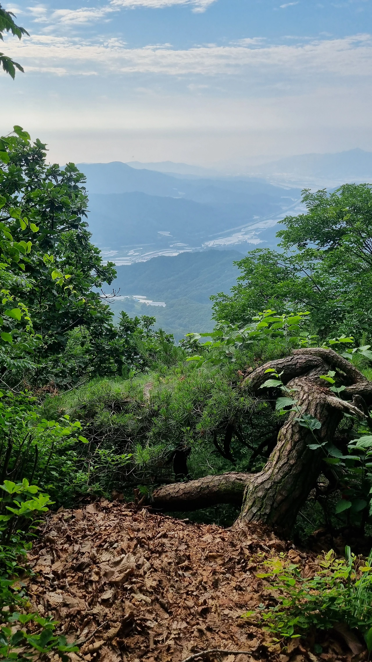 KakaoTalk_Photo_2025-06-30-15-58-02 004.jpeg