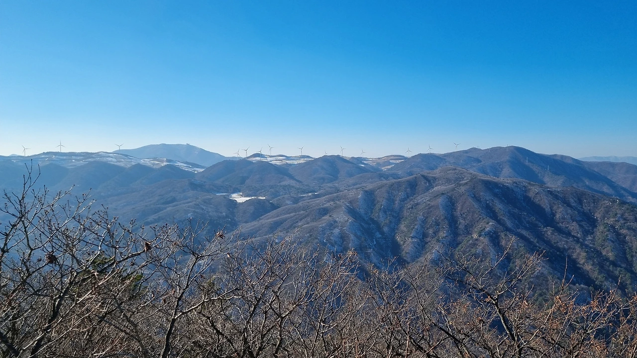 KakaoTalk_Photo_2024-12-19-15-33-22 002.jpeg