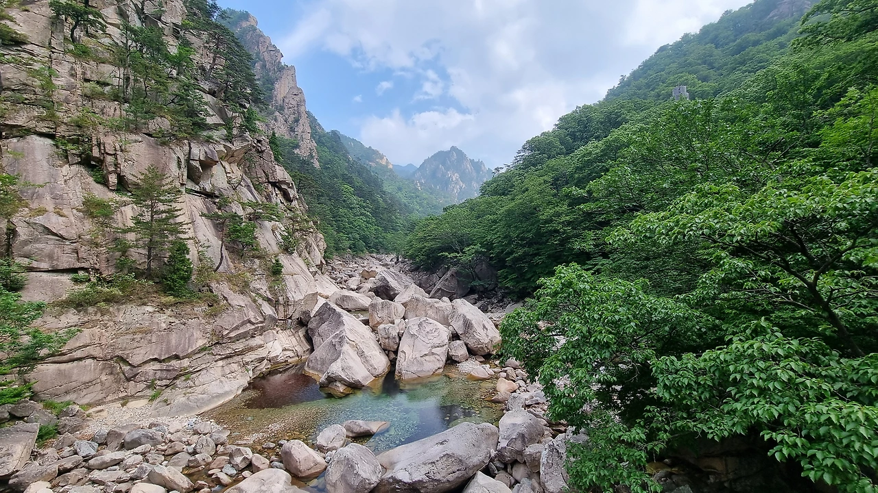 KakaoTalk_Photo_2025-06-18-17-34-55 005.jpeg