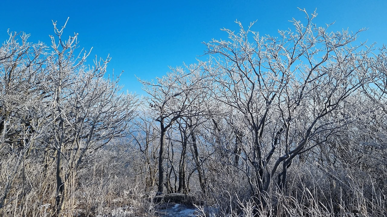 KakaoTalk_Photo_2025-01-07-00-19-06 001.jpeg