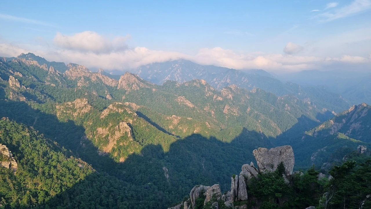 KakaoTalk_Photo_2025-06-18-17-24-56 001.jpeg