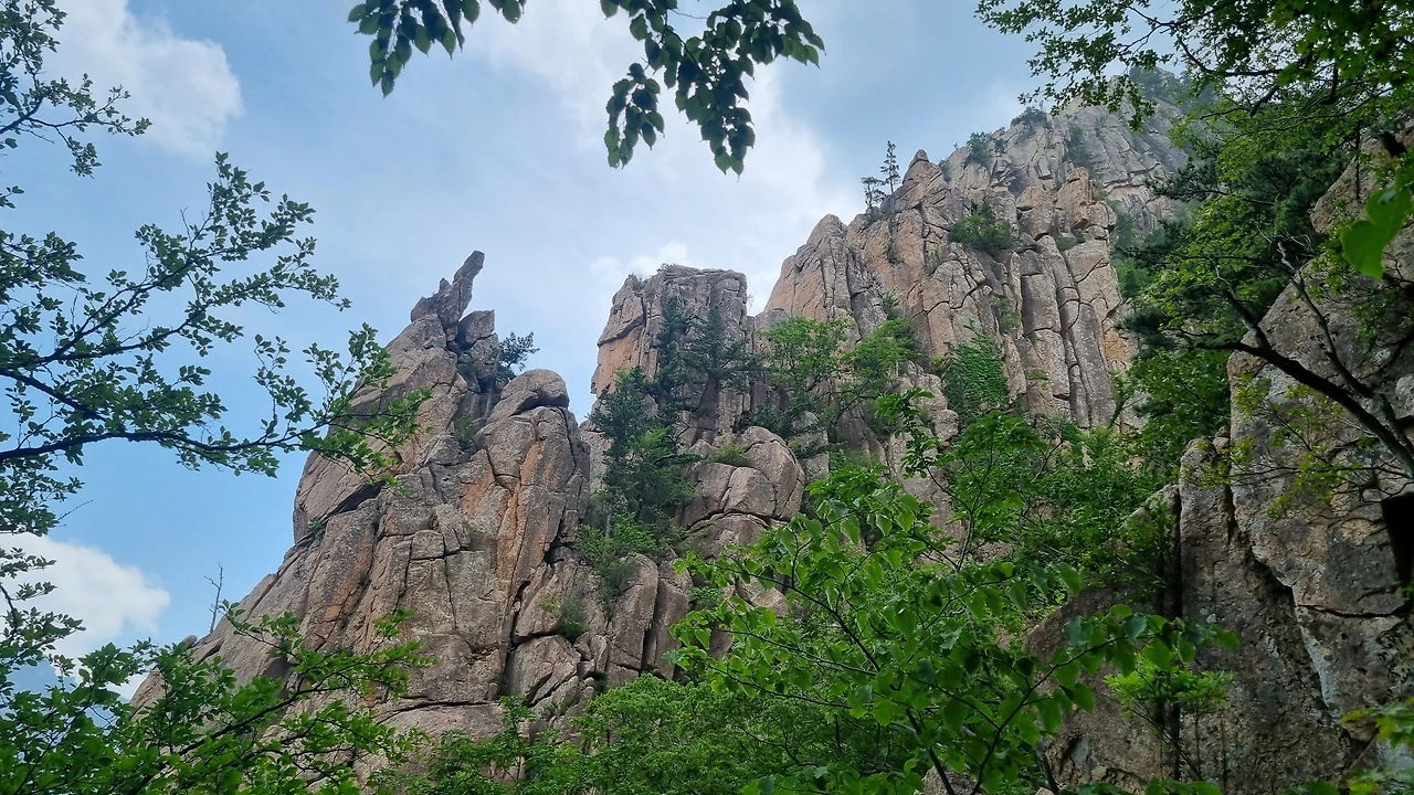 KakaoTalk_Photo_2025-06-18-17-34-54 003.jpeg