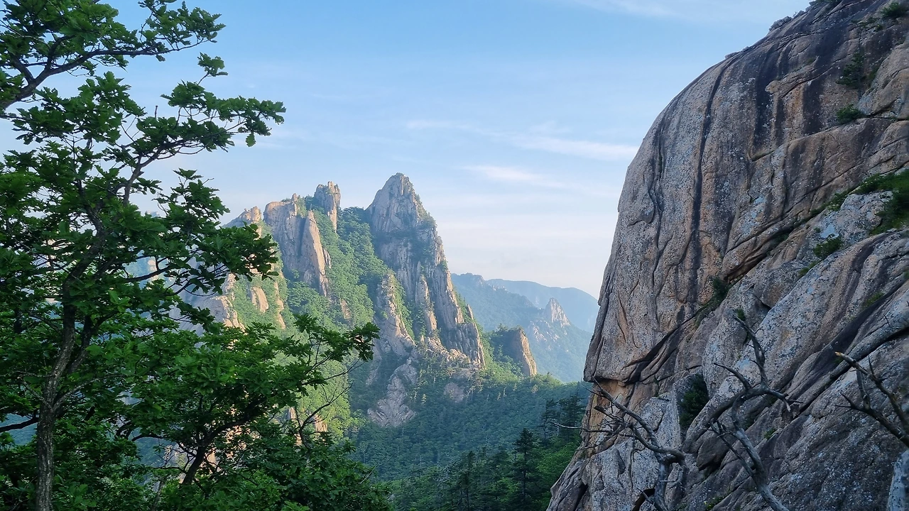 KakaoTalk_Photo_2025-06-18-17-24-57 005.jpeg