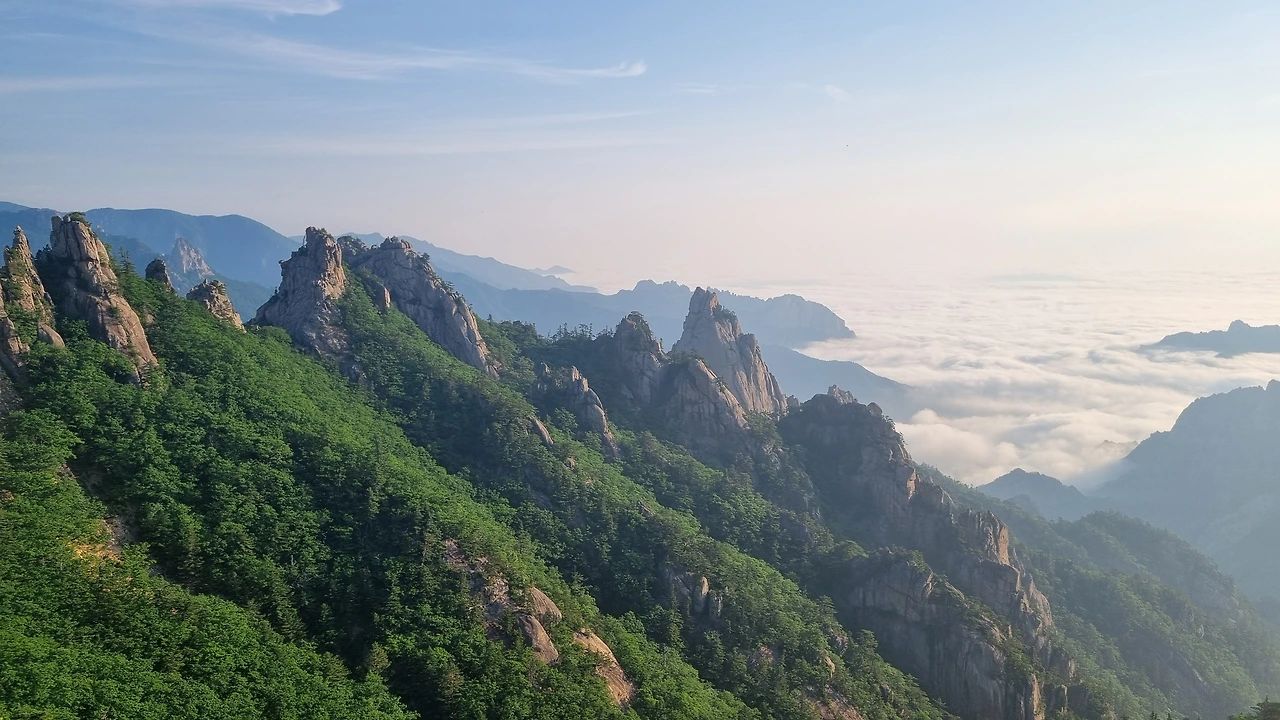 KakaoTalk_Photo_2025-06-18-17-24-56 002.jpeg