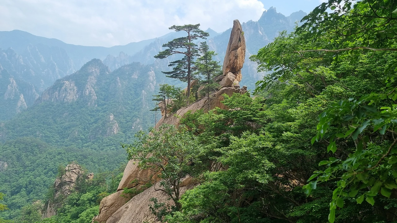 KakaoTalk_Photo_2025-06-18-17-34-55 004.jpeg