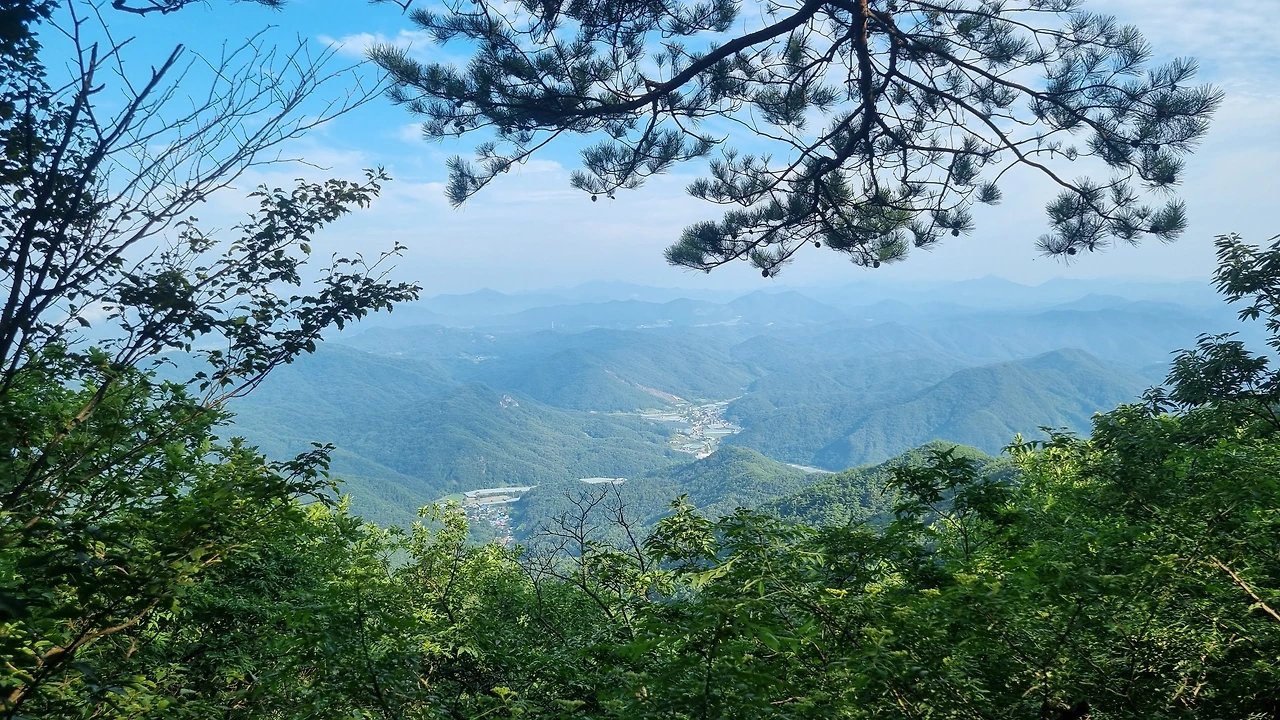 KakaoTalk_Photo_2025-07-28-15-44-14 006.jpeg