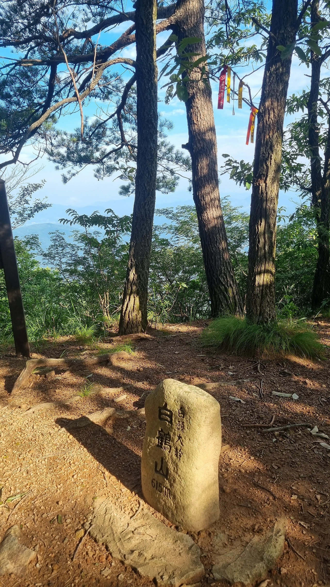 KakaoTalk_Photo_2025-07-28-15-44-14 005.jpeg